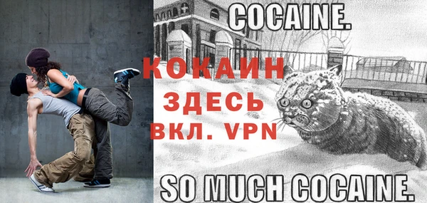 Альфа ПВП Горно-Алтайск