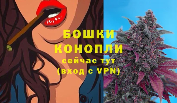 Альфа ПВП Горно-Алтайск