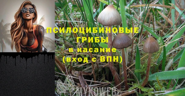 a pvp Горняк