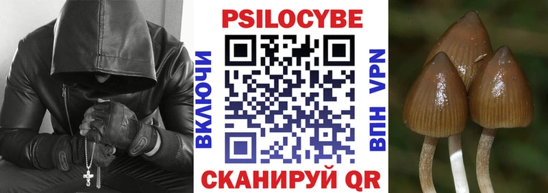 Галлюциногенные грибы Magic Shrooms  Купить закладки  Перевоз 